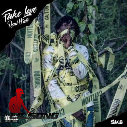Sk8 - Fake Love Real Hate